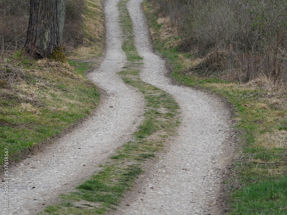 Unterwegs - Forststraße schlängelt sich durch den Wald Unterwegs - Forststraße schlängelt sich durch den Wald