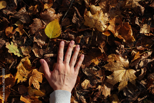 Young man hand and fallen autumn leaves on the ground. Photo was taken 9 October 2022 year, MSK time in Russia. photo