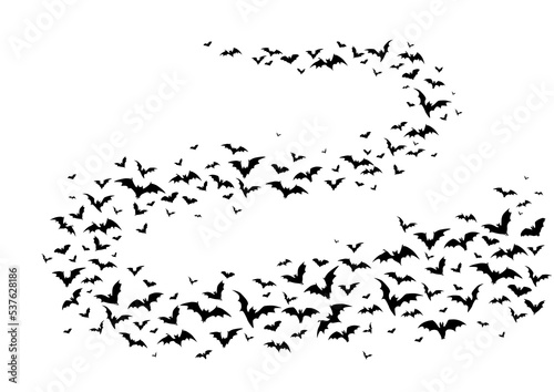 Flying halloween bats, isolated vector vampire animals flock curve wave fly on white background. Winged swarm of creepy bats black silhouettes, spooky fauna creatures group flow graphic design element © Vector Tradition