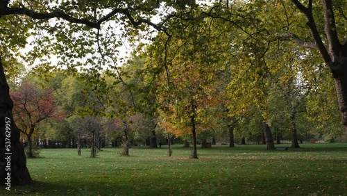 Autumn park landscape in Greenpark station, London. Autumn trees landscape. Early autumn morning sunlight sunny day.  photo