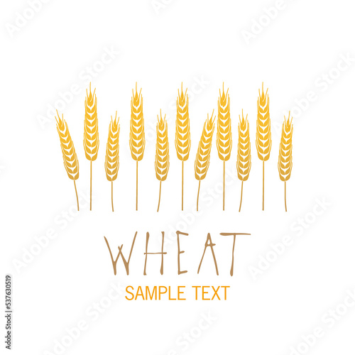 Stylized ears of wheat food or agriculture logo, handwritten sample text, isolated on white background