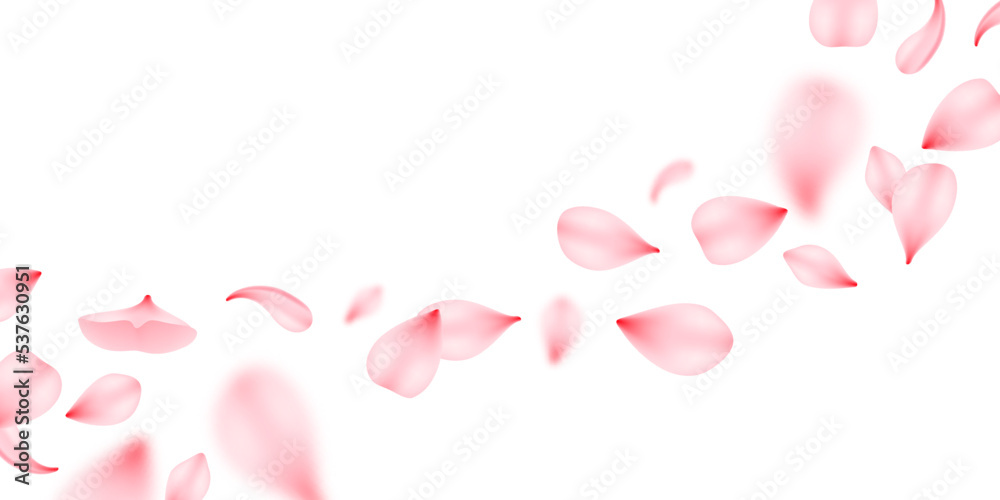 Flying sakura petals, isolated vector design for wedding invitation or valentines day greeting card. Realistic pink rose or cherry flower petals flow, sakura blossom blooming, floral petals