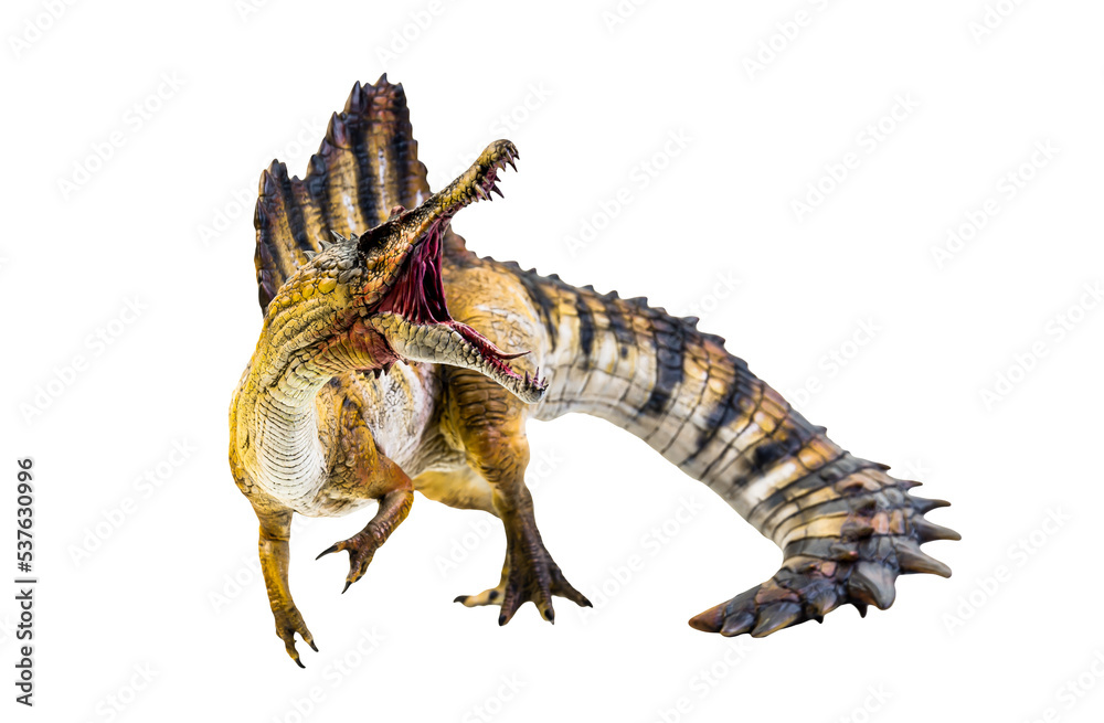 dinosaur , spinosaurus isolated background Stock Photo | Adobe Stock