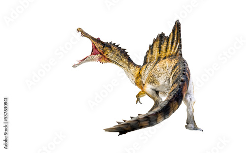 dinosaur , spinosaurus isolated background photo