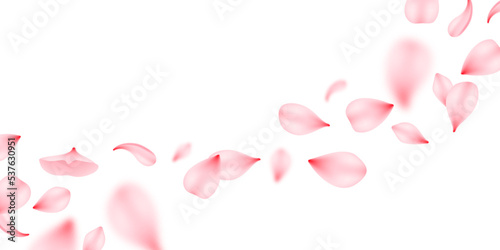 Flying sakura petals, isolated vector design for wedding invitation or valentines day greeting card. Realistic pink rose or cherry flower petals flow, sakura blossom blooming, floral petals