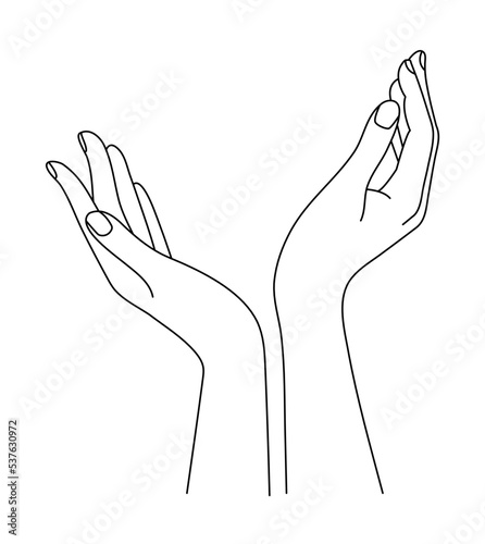 Hands aestetic line drawing. Arm in simple linear style. Doodle vector illustration.
