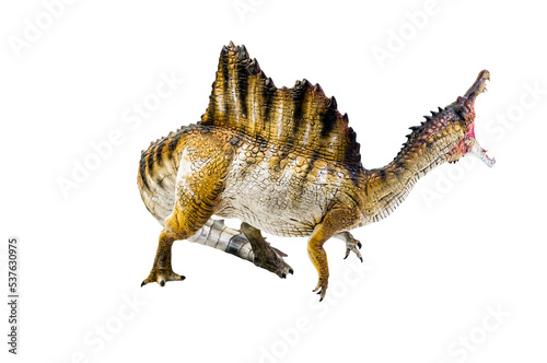 Fototapeta Naklejka Na Ścianę i Meble -  dinosaur , spinosaurus isolated background