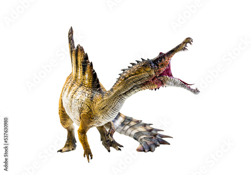 dinosaur , spinosaurus isolated background