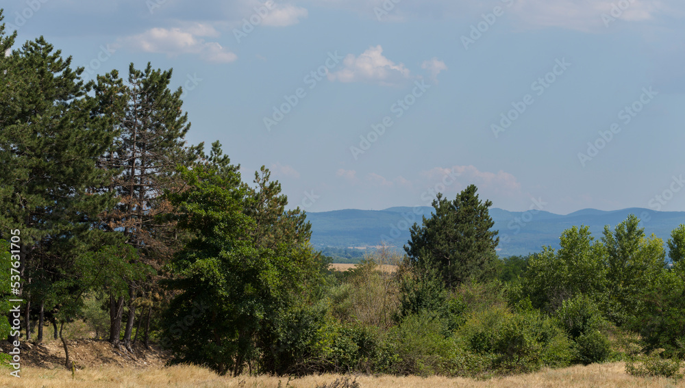 Panoramic terrain of southern Europe. Landscape of Bulgaria-mountains, fields, flora. Panoramic terrain of southern Europe. Landscape of Bulgaria-mountains, fields, flora.