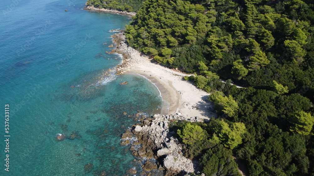 A small sandy beach in a beautiful bay surrounded by coniferous forest