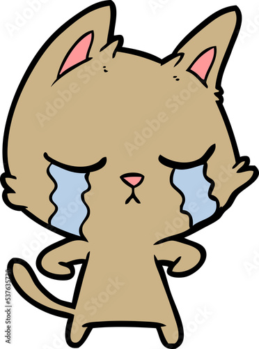 crying cartoon cat