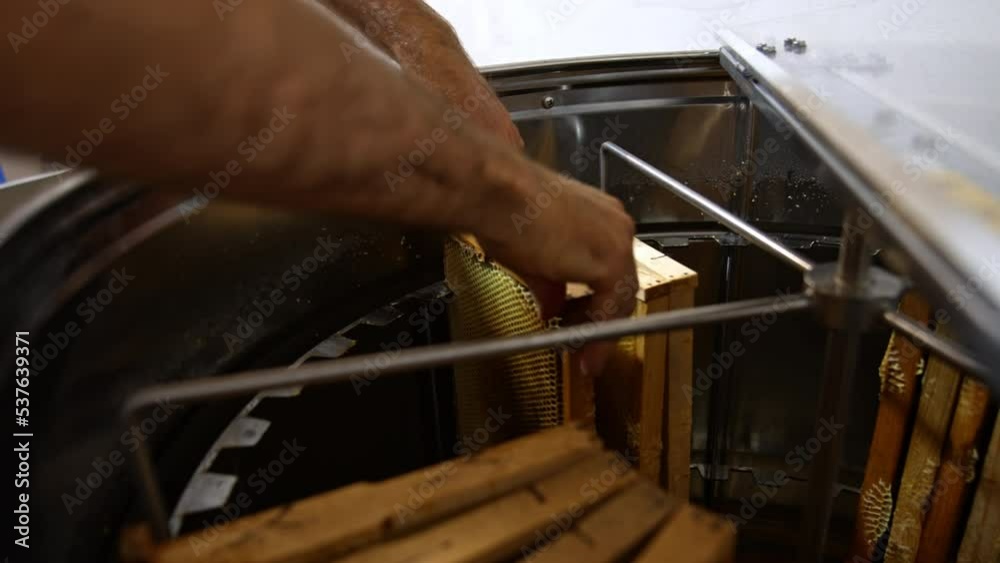 Filling the electric honey extracting machine with wooden frames. Male hands place the frames close to each other in the centrifuge equipment. Filling the electric honey extracting machine with wooden frames. Male hands place the frames close to each other in the centrifuge equipment.