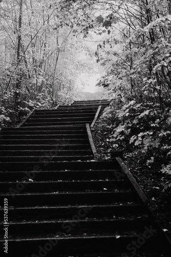 stairway to heaven