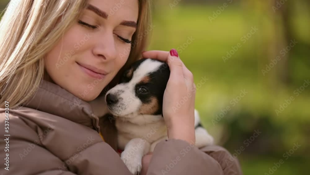 A young beautiful girl hugs her little dog. Man's best four-legged friend looks into the camera with cute eyes A young beautiful girl hugs her little dog. Man's best four-legged friend looks into the camera with cute eyes