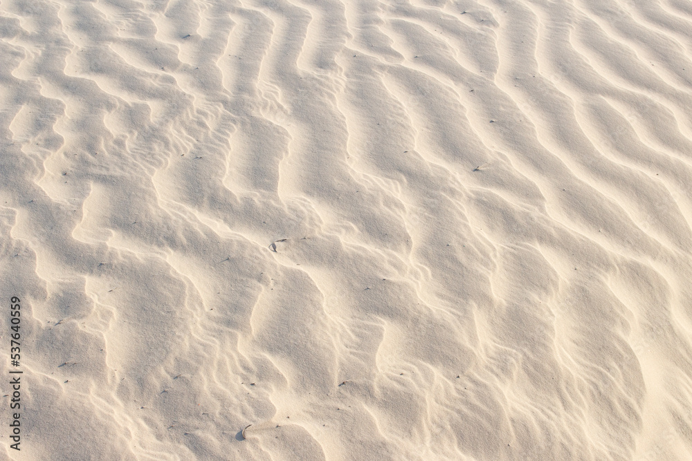 sand beige texture in a sunny day - texture sand beige texture in a sunny day - texture