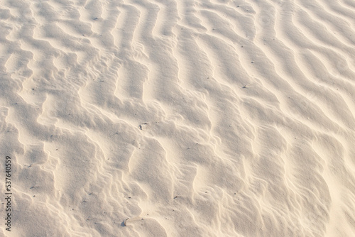 sand beige texture  in a sunny day - texture