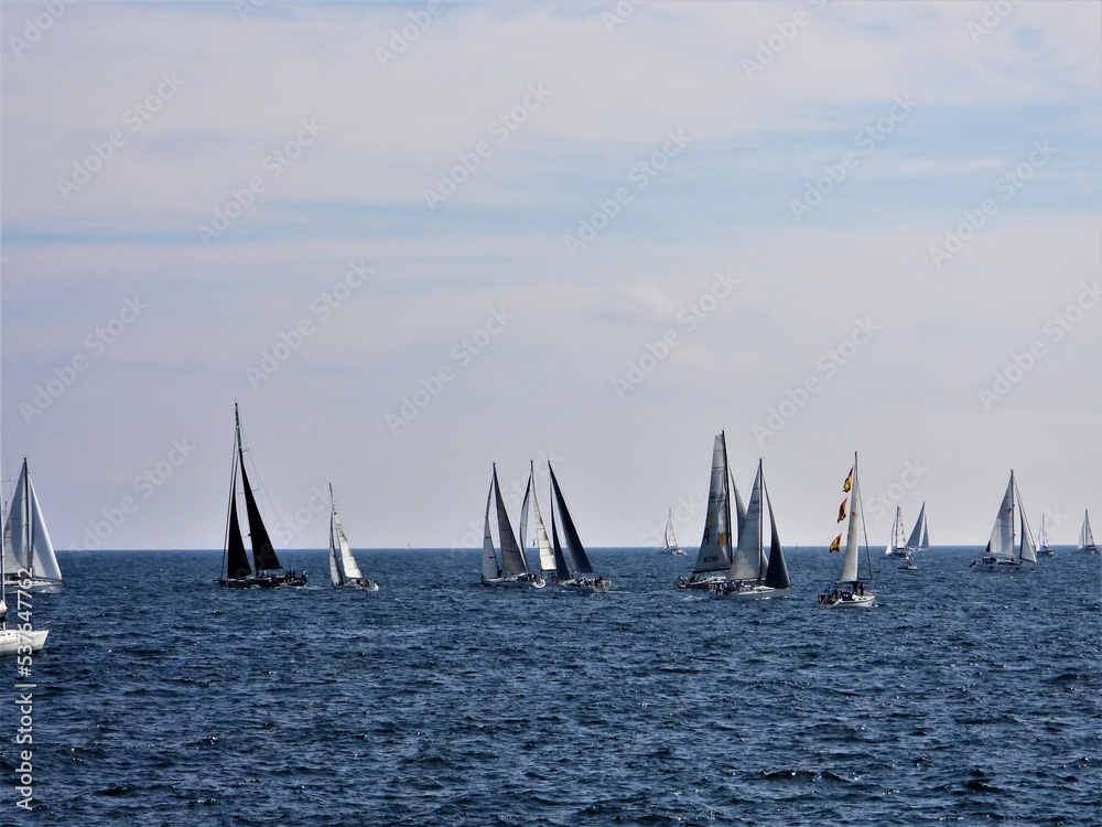 Fototapeta premium Regata