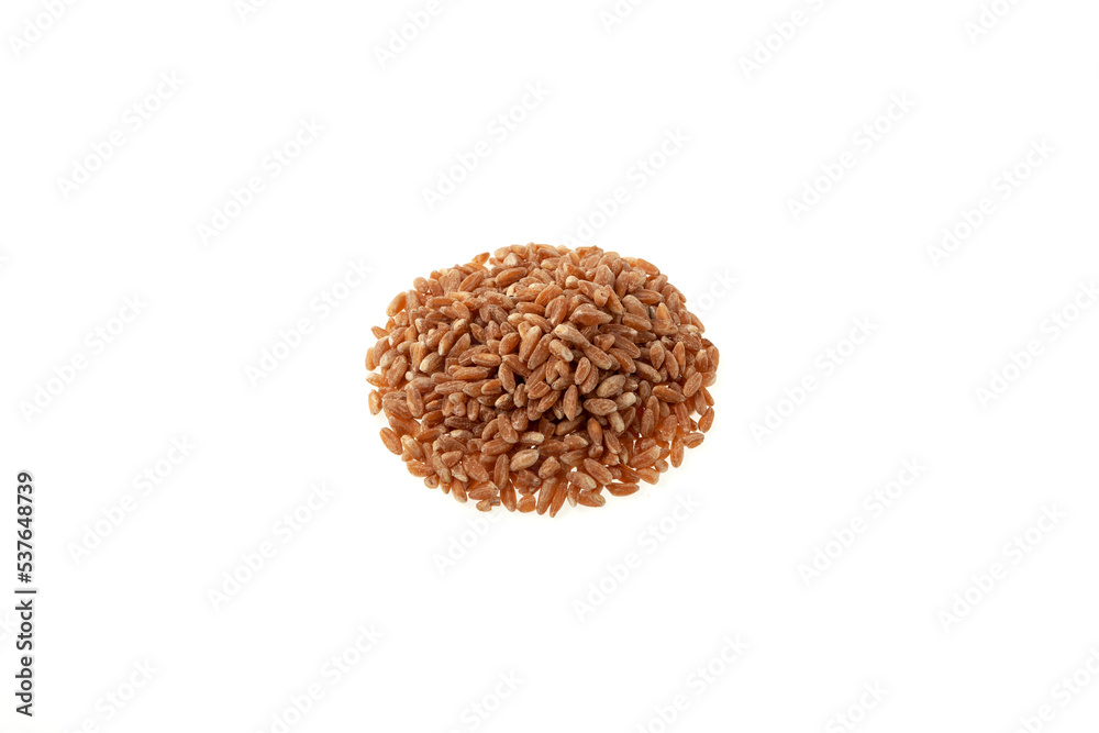 Pile of Whole spelt farro isolated on white background. Selective focus, copy space