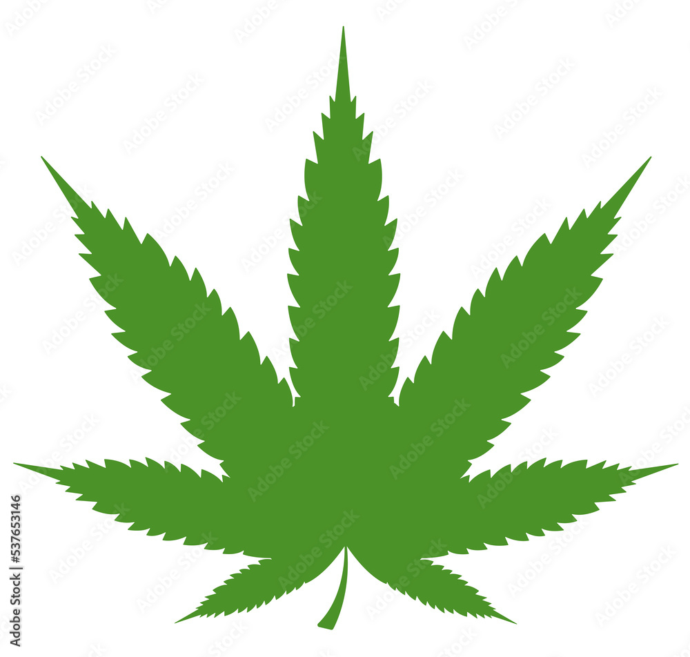 marijuana leaf on a transparent background marijuana leaf on a transparent background