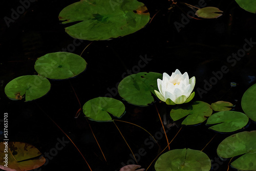 Valokuvatapetti Digitally created watercolor painting of a vibrant white water lily in a pond wi