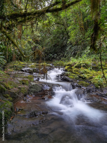 Cascadas en Monta  a de Boquete