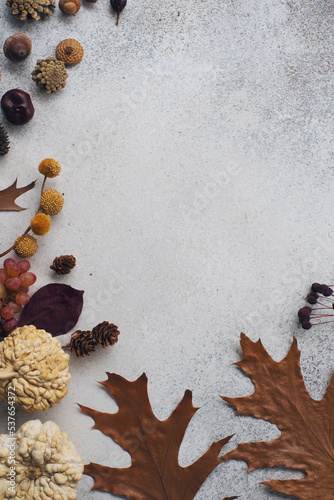 Haloween or thanksgiving composition with decorative pumpkin, autumn leaves and grapes