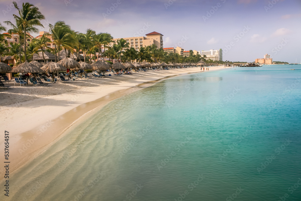 Aruba idyllic caribbean palm beach at sunny day, Dutch Antilles, Caribbean Sea