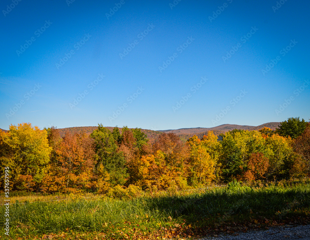 Autumn Country Roads
Dorset Vermont October 10.11.22