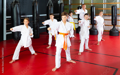 Group of kids at taekwondo workout, training attack movements