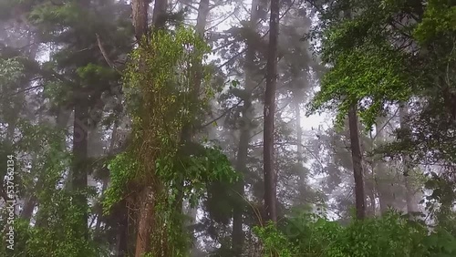 Sunrise in the middle of the storm called Julia, which affected Central America, mountains in Guatemala, forest area.