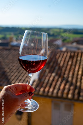 Wine tour with tasting of red dry wine and view on roofs of medieval houses in Châteauneuf-du-Pape ancient wine making village in France