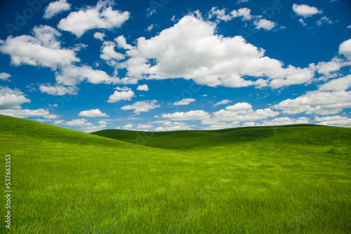 Endless green farm fields sit beneath a beautiful blue sky and puffy white clouds in Eastern Washington.