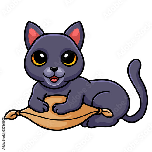 Cute chartreux cat cartoon on the pillow