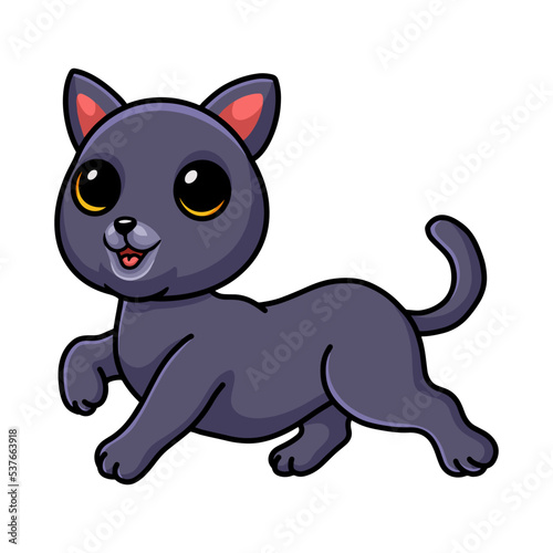 Cute chartreux cat cartoon walking