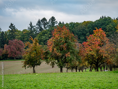 Natur und Wiesen Landschaft im Herbst