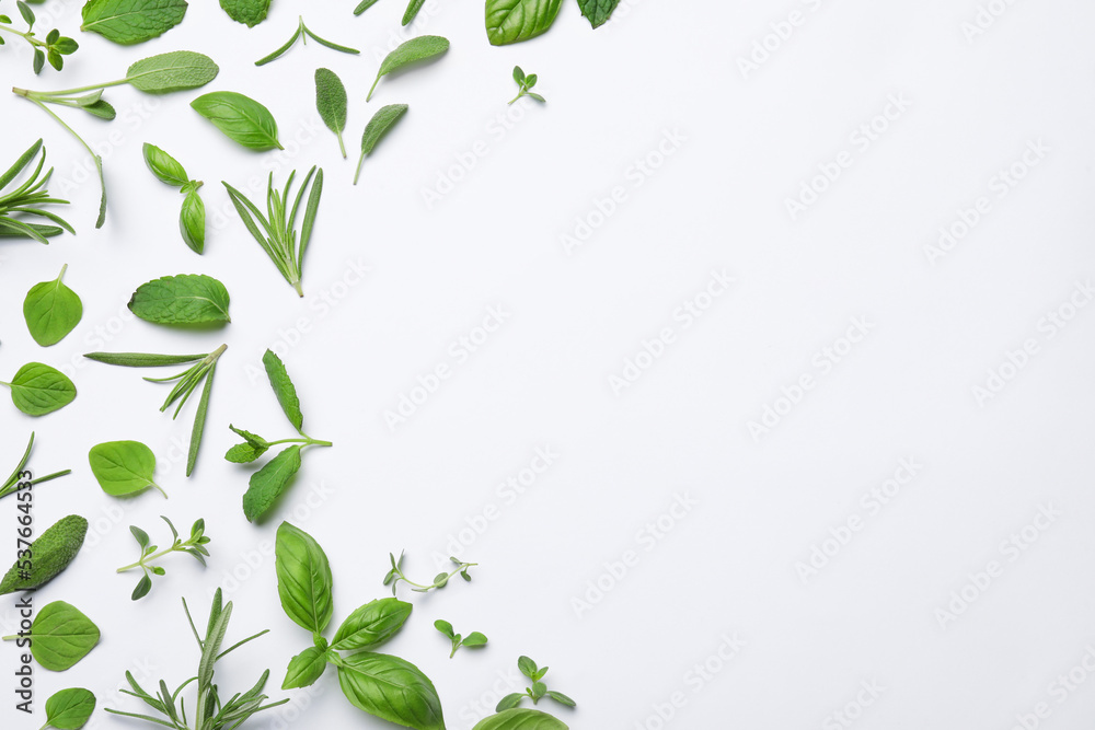 Many different aromatic herbs on white background, flat lay. Space for text