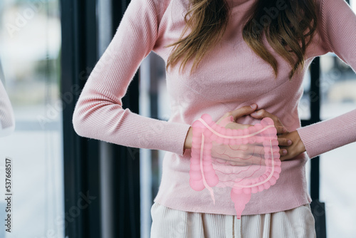 woman hands touching on stomach with intestine virtual icon, probiotics food for gut health, colon cancer, bowel inflammatory. Healthy feminine concept. photo