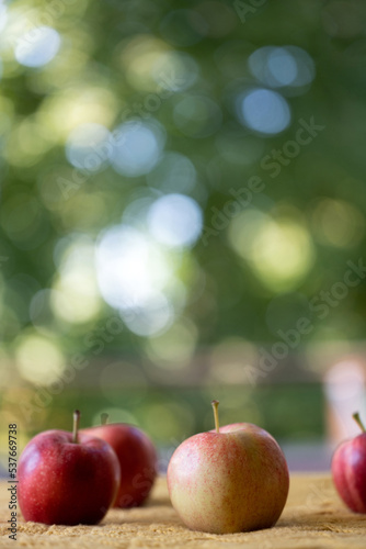 Fresh apples in front of window