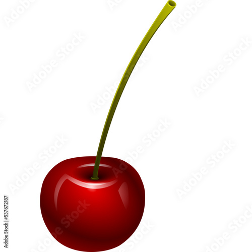 red cherry vector