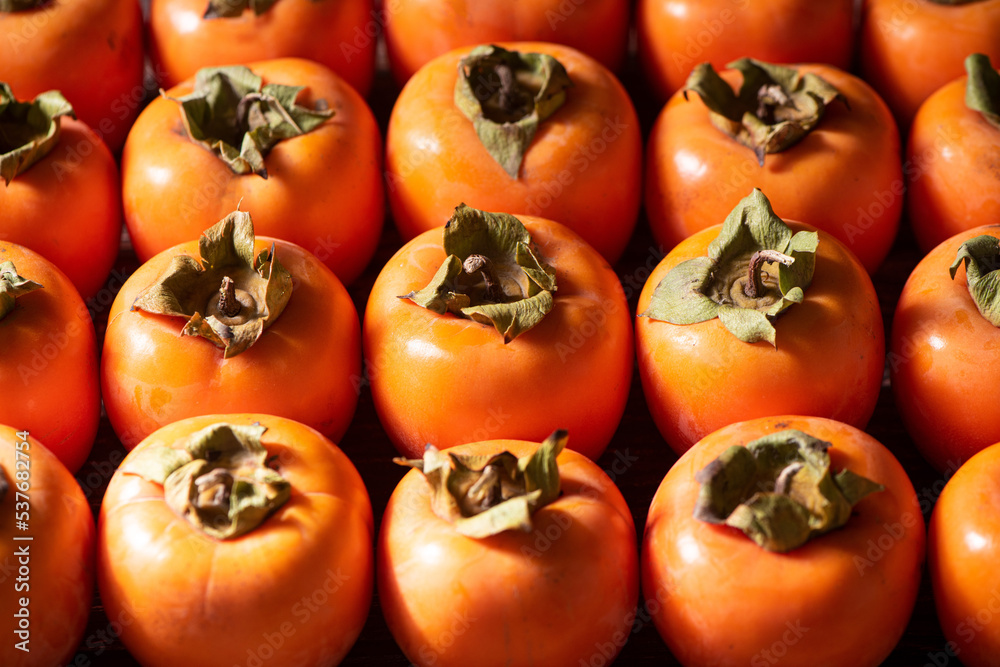 row of Ripe persimmon fruit background.Close up of fresh kaki row of Ripe persimmon fruit background.Close up of fresh kaki