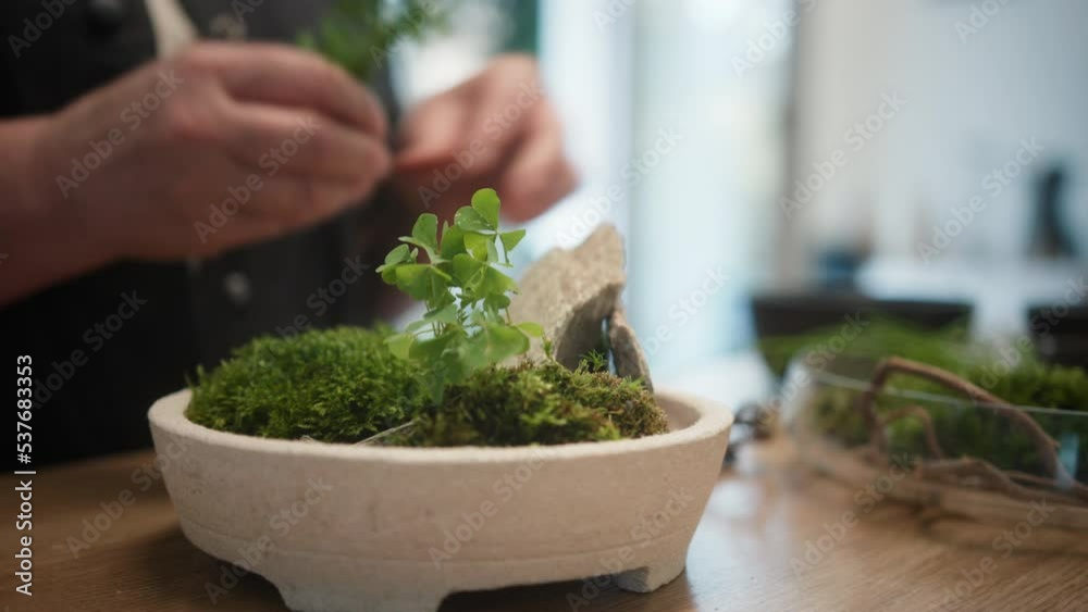 Crop florist arranging plants and rocks in bowl Crop florist arranging plants and rocks in bowl