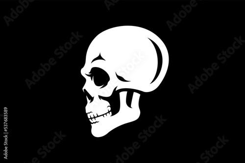 Side View of Simple Skull