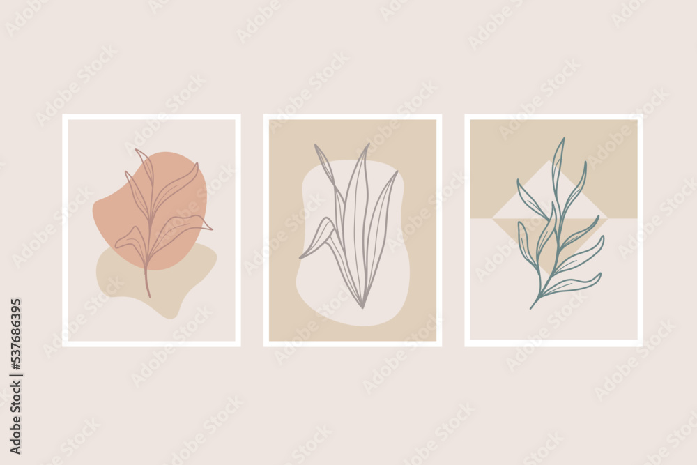 botanical abstract picture collection set botanical abstract picture collection set
