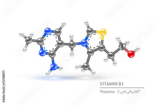 Vitamin B1 (Thiamine) molecule models and structural physical chemical formulas. Science biochemistry concept. Isolated on white background. 3D Vector Illustration.