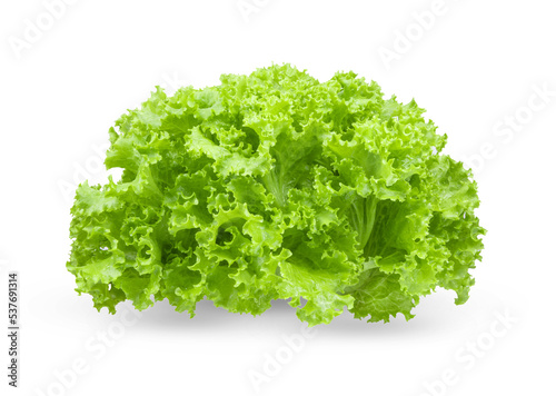 Vászonkép fresh green lettuce salad leaves isolated on transparent png