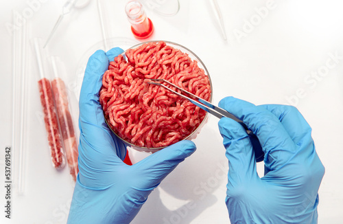 Petri dish with cultured meat in laboratory photo