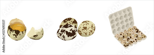 Set of quail eggs on white background