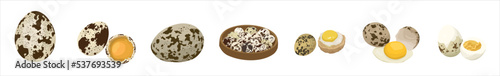 Set of quail eggs on white background