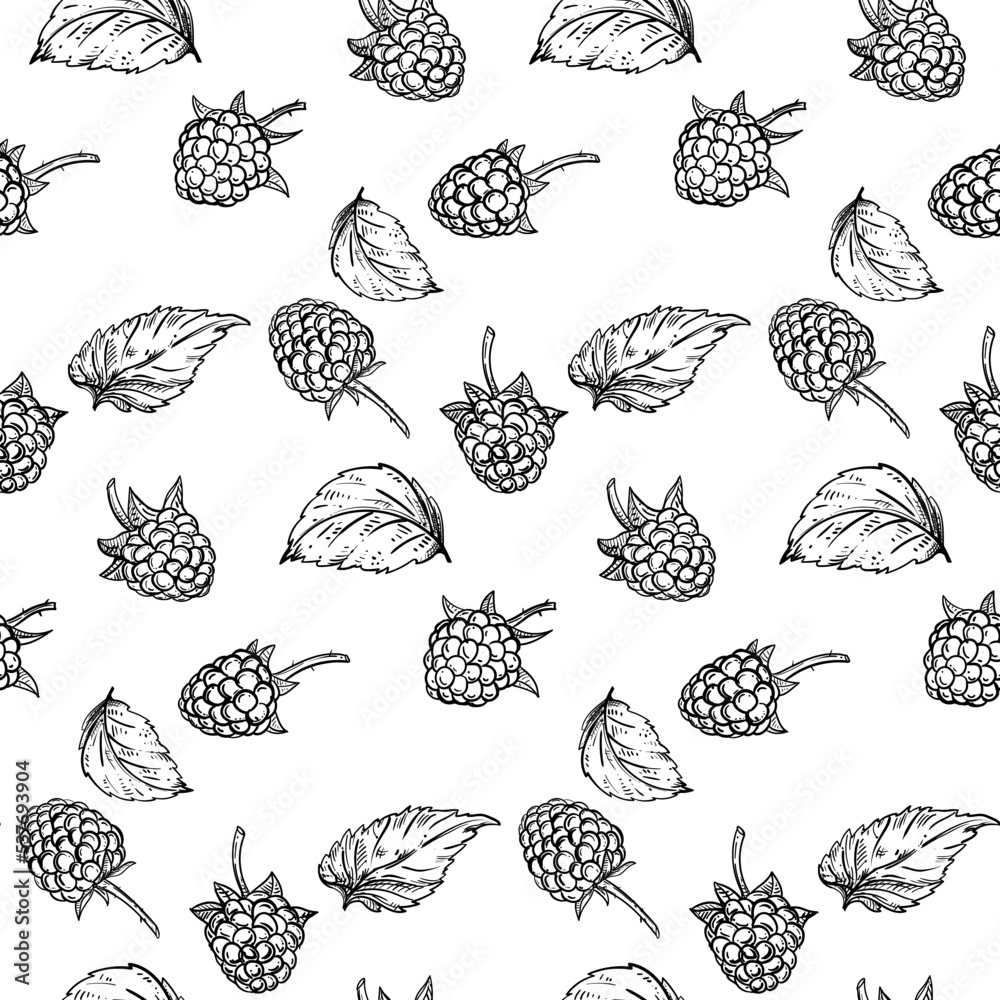 Hand drawn seamless pattern black and white of raspberry branch, berry, leaf. Vector illustration. Elements in graphic style label, sticker, menu, package Hand drawn seamless pattern black and white of raspberry branch, berry, leaf. Vector illustration. Elements in graphic style label, sticker, menu, package