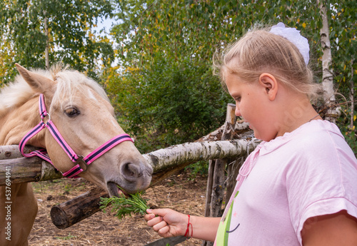 Outside on a beautiful warm day, a girl feeds a horse. 